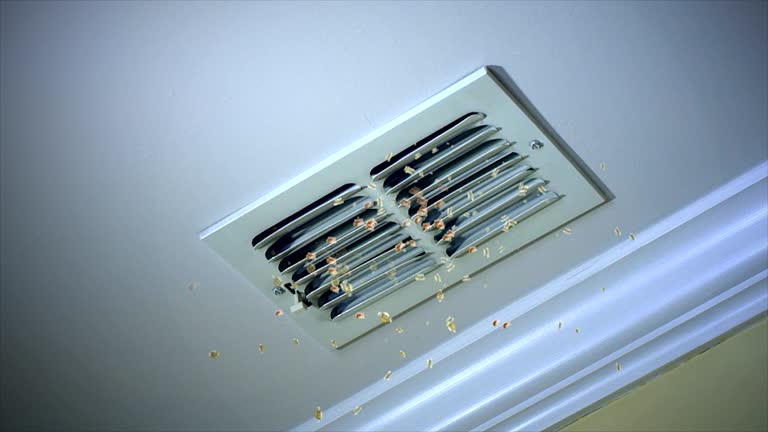 Best Ductwork Cleaning Services  in Decatur, MI